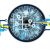 The Compliance Blind Spot: What You’re Missing Could Cost You Thousands