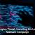 Salesforce Builds AI Agent To Improve TSA Travel